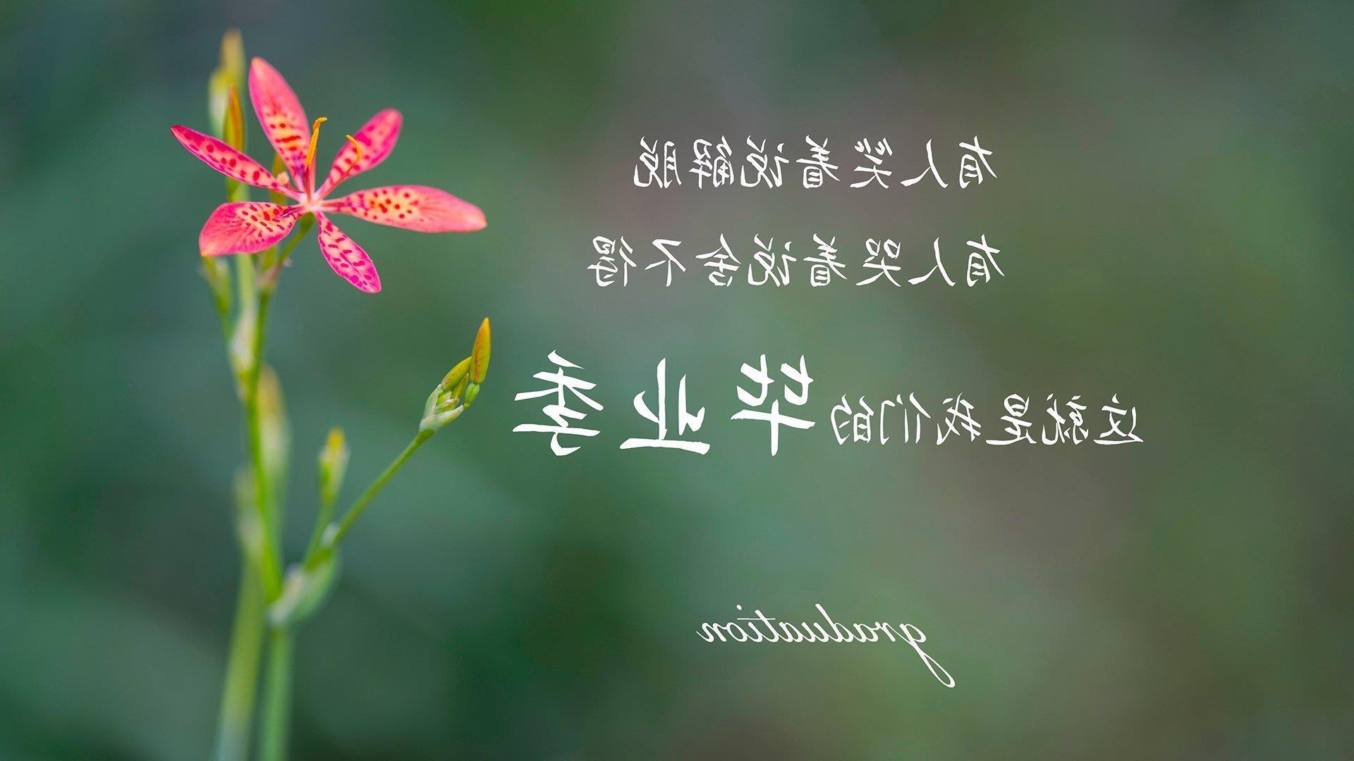 _运动员比赛心得:面对强敌的心态调整_,运动员战胜自己